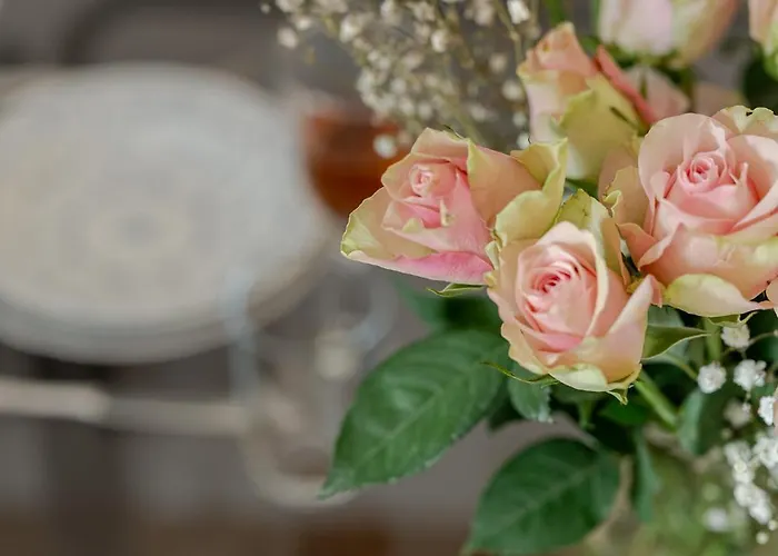 Meer * Suderende (Sylt)